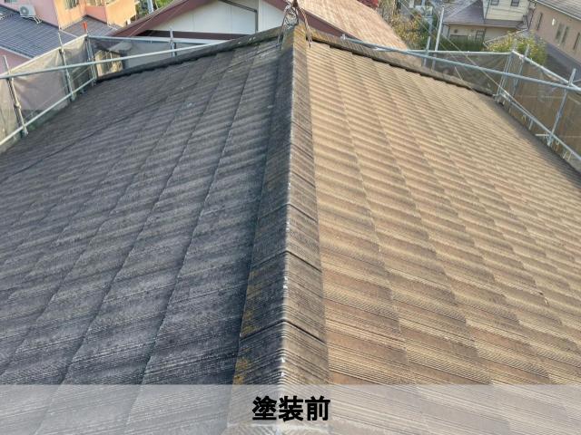 roof-painting-before